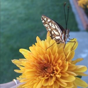 Meet your Posher, Jenna